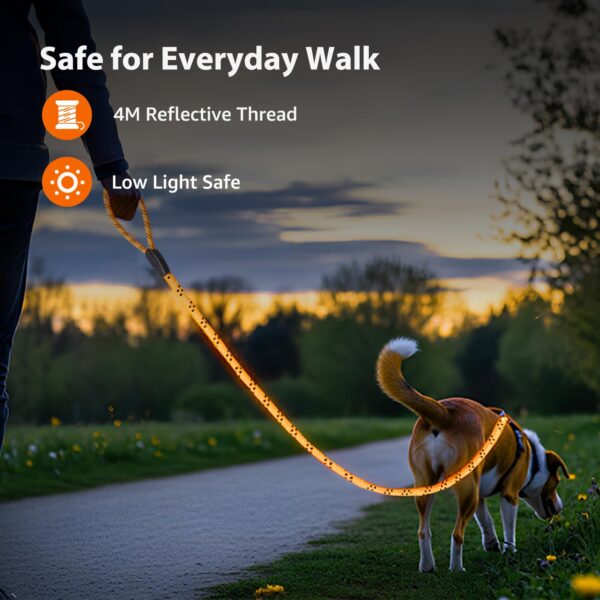 71RhXWdvx8L._SL1500_.jpg amazon basics, Heavy Duty Reflective Dog Leash 4ft /122 cm Long Nylon Rope Leash with Anti-Slip Padded Handle for Medium & Large Dogs Durable Training Leash |12 mm Thickness | Pink