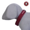 Pets Like Poly Collar, Maroon (32mm)