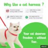 Buraq Basic Full Body Cat Harness with Leash Set for Walking | Escape Proof | Adjustable & Durable for Cats (Green)