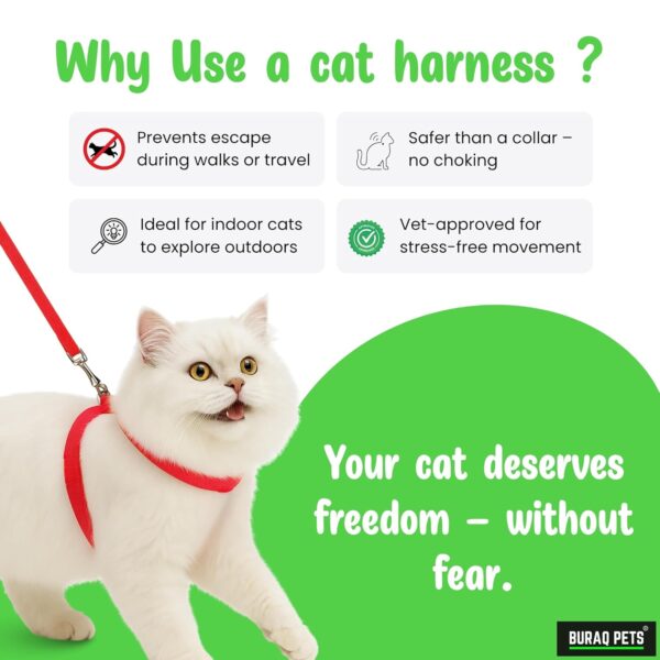 Buraq Basic Full Body Cat Harness with Leash Set for Walking | Escape Proof | Adjustable & Durable for Cats (Green)