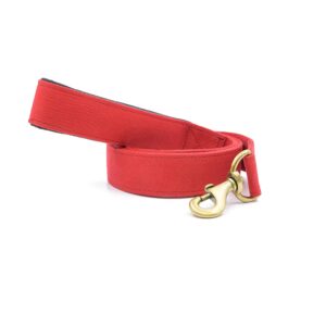PetWale Dog Leash with Padded Handle | Suited for Walking, Running, Training & More | Red Fabric | Easy to Clean & Maintain | Durable & Sturdy | L: 5 feet, W: 1.5 inches