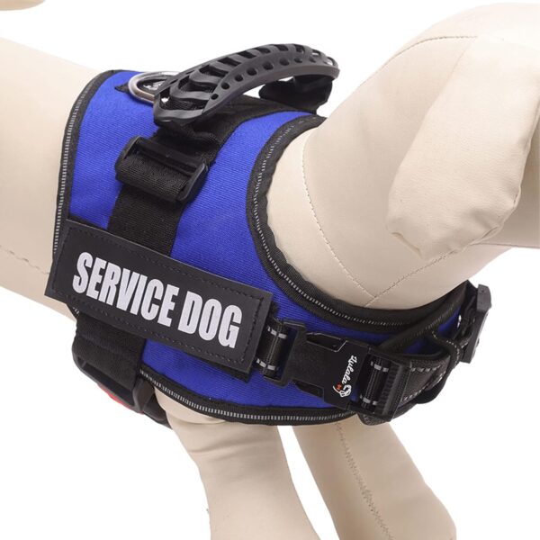 Lulala Service Dog Harness, Large Medium Small Dog No-Pull Reflective Vest,Breathable Adjustable Pet Harness with Piastic Handle for Outdoor Walking -with On Off Locker(Blue L)