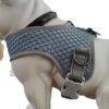 Dog Harness – Adjustable Pet Vest with Easy Control Handle for Outdoor Adventures S Grey