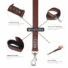 PetsUp Leash Genuine Leather Dog Leash – Heavy Duty, Durable, and Comfortable for Medium and Large Dogs-Training and Walking Lead