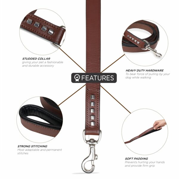 PetsUp Leash Genuine Leather Dog Leash – Heavy Duty, Durable, and Comfortable for Medium and Large Dogs-Training and Walking Lead