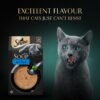 71TFjijG2DL._SL1500_.jpg Sheba Soup with Tuna Adult Wet Cat Food, 160g (4 x 40g), Finely Sliced Pieces of Tuna in Smooth, Silky and Velvety Broth (Pack of 4)