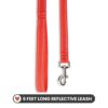Wooflix Reflective Leash & Collar Combo Set for Medium Large Dogs Durable Strong Dog Collar Belt & Dog Leash for Medium & Large Dogs Training & Walking Lead Dog Leash (Red Reflective, Medium)