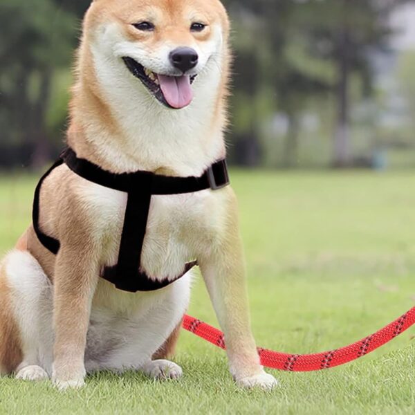 Reflective Adjustable Pet Leash for Dogs| Durable and Comfortable| Strong Nylon with Padded Handle| Straps Dogs Perfect for Harness and Neck Collar Belts ((D-Shape) 1/5 inch x 4 feet, Red)