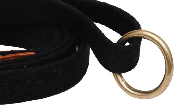 71TssIYSAL._SL1500_.jpg Vama Leathers Patent Applied Product Sustainable & Eco Friendly Material Dog Leash 100% Cotton Canvas with Sturdy Solid BrassHand Made for Small Dogs Length 5 Feet Width-3/4 Inches Color Brown