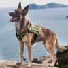 Dog Harness No-Pull Pet Harness Adjustable Outdoor Pet Vest 3M Reflective Oxford Material Vest for Dogs Easy Control for Small Medium Large Dogs (Medium, Camouflage Green)