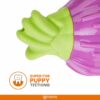 BarkButler x FOFOS Giggling Squeaker Dog Toy - Onion, Durable Chew Toys, Ideal Teething Toys for Puppy & Adult Dogs (5-30kgs), Interactive Dog Toys for Dogs of All Breeds