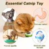 71Ubx7Vo3tL._SL1500_.jpg Dog Trust Catnip Balls Edible Catnip Ball for 1PCS Cats Kitten Toy Rotatable Mint Ball Kitten Chew Treats for Teeth Cleaning Biting Dental Care Safe Healthy Lick Toy (Paw)