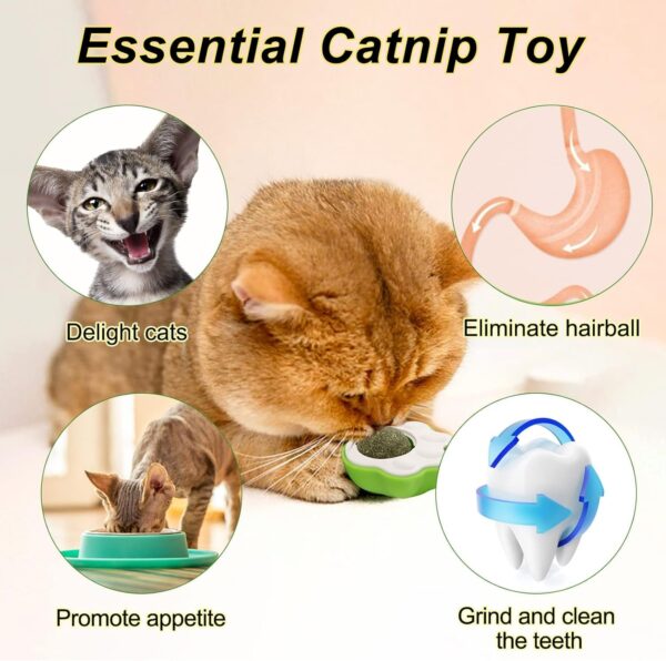 71Ubx7Vo3tL._SL1500_.jpg Dog Trust Catnip Balls Edible Catnip Ball for 1PCS Cats Kitten Toy Rotatable Mint Ball Kitten Chew Treats for Teeth Cleaning Biting Dental Care Safe Healthy Lick Toy (Paw)