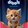 Drools Kitten Cat Wet Mousse 80gm | Salmon | Rich in Protein, Promotes Hydration & Easy to Digest | Grain Free, No Artificial Flavours | Packed with Essential Vitamins & Antioxidants