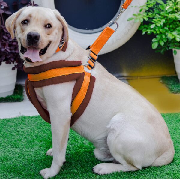 Dog Fur Harness, Collar & Leash Combo Set, Adjustable Size | for 36-45 Kilogram Dogs (XL, Orange-Brown)