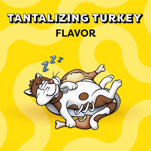 Whiskas Temptations Treats for Cats Mega Bag Tantalizing Turkey Flavor, 6.3 Ounce (Pack of 10)