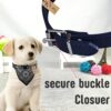 Western Era Stylish Dog Collar Scarf – Adjustable, Comfortable Pet Accessory for Puppy, Kitten, Trendy Bandana, Soft Fabric, Perfect, Special Occasions, Washable, Small Breed (Black)