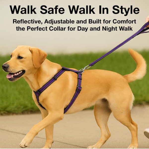 Dog Harness No Pull with Front Clip | Dog Walking Chest Harness with Reflective Adjustable Soft Padded Vest and Easy Control Handle Sizes (Medium, Purple)