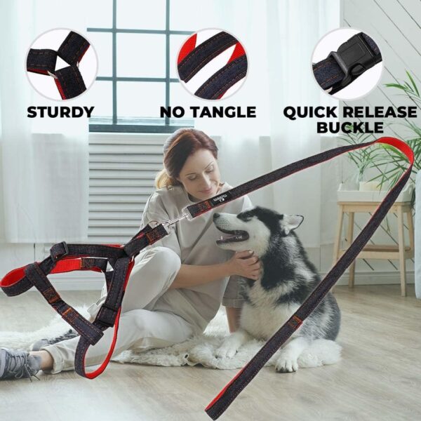 Kuber Industries Dog Chest Belt Harness with Adjustable Leash|Premium Demin Fabric|Metal Hooks |PDMG