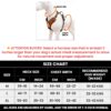 71WBCXZOvhL._SL1500_.jpg Wooflix Heavy Duty Reflective Dog Harness for Large Sized Breed Dogs – No Pull, No Choke Harness for Dog with Adjustable Chest Belt with Soft Padded Handle | Orange – Size: Large (22kg to 32kg Dog)