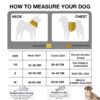 Pastel Dog Harness and Leash Set for Dogs and Cats | Adjustable No-Pull, No-Choke Soft Padded Pet Vest with Matching Leash | Comfortable, Cute and Stylish Walking Harness (Blue)