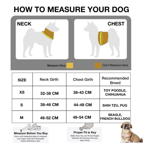Pastel Dog Harness and Leash Set for Dogs and Cats | Adjustable No-Pull, No-Choke Soft Padded Pet Vest with Matching Leash | Comfortable, Cute and Stylish Walking Harness (Blue)