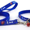 RvPaws 15 MM Paw/Bone Printed Soft Nylon Collar Belt and Leash Set for Small Breed Dog and Puppies - Blue
