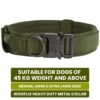WOOFLIX Metal Dog Collar For Training & Walks|Nylon Collar With Tactical Metal Buckle & D-Ring For Medium & Large Dogs|Dog Collar For Medium & Large Dogs (Extra Large, Army Green) - 25 X 5 Cm