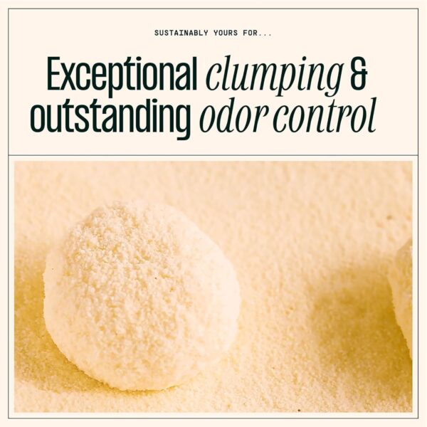 Sustainably Yours Natural Cat Litter, Multi-Cat, 11.8 Kg