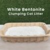 Goofy Tails White Bentonite Clumping Cat Litter 5L (5L X 1 Pack)| Odour Control Ammonia Locker Formula| 99.9% Dust Free, Anti-Bacterial Litter for Cats| Chemical Free Ultra Absorption Litter for Cats