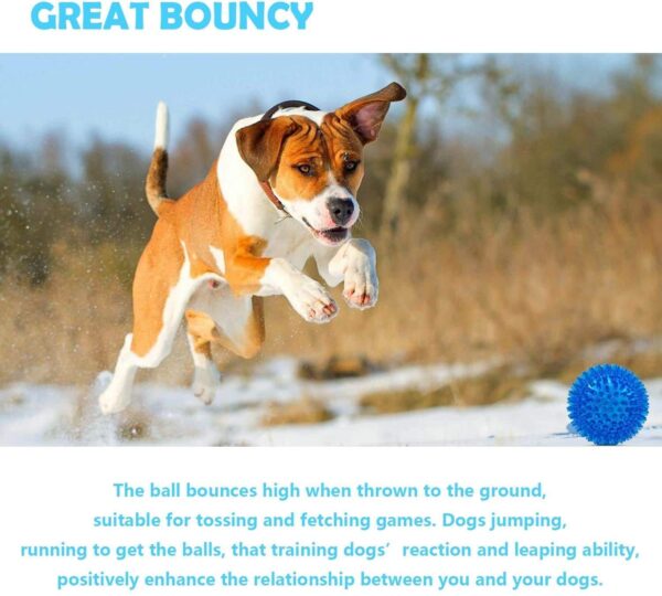 PremiumAV Spike Bouncy & Squeaky TPR Rubber Ball – Durable Dog & Cat Chew Toy for Teeth Cleaning, Interactive Dental Health Toy, Stress Relief and Fetch