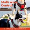 Premium Reflective Dog Vest Harness| Soft Breathable| Padded Handle| Adjustable Straps & Luxury Buckle| No-Choke with Free Designer Leash-19mm| Chest (13-22 inch) All Small Breeds 4-13 Kg