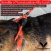 Vama Leathers Dogs British Style Training Leash Slip Leash Adjustable LengthIStrong & Durable Training Show LeashISoft Nylon RopeILeather TrimsIMade In IndiaI5 Feet X 1 CmIBlack