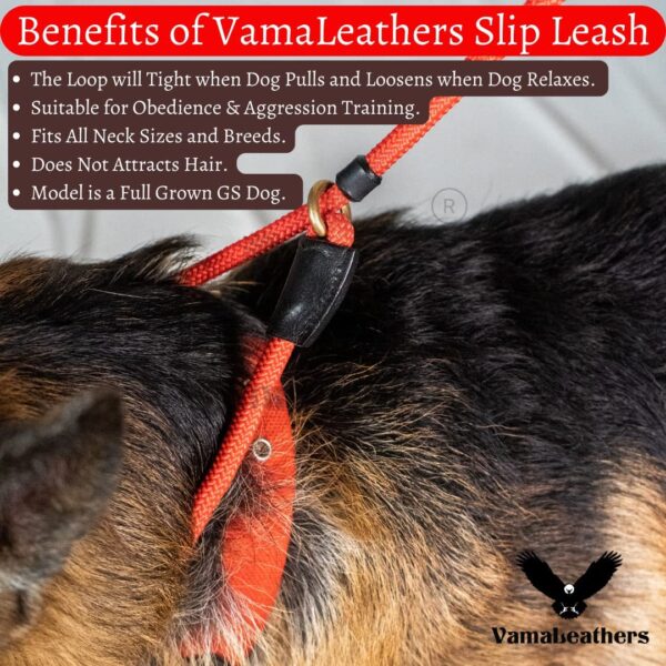 Vama Leathers Dogs British Style Training Leash Slip Leash Adjustable LengthIStrong & Durable Training Show LeashISoft Nylon RopeILeather TrimsIMade In IndiaI5 Feet X 1 CmIBlack