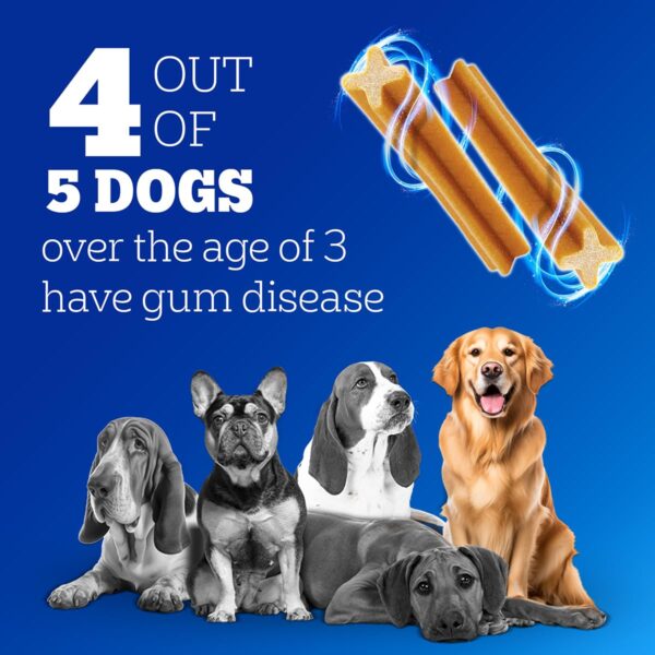 71XMmGW9U4L._SL1200_.jpg Pedigree Dentastix Oral Care Dog Treat, Adult Large Breed (25+ kg), 1.08 kg, Recommended by Vets, Supports Gum Health, Reduces Risk of Gum diseases