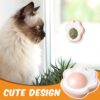 71XTmmj137L._SL1500_.jpg Dog Trust Catnip Balls Edible Catnip Ball for 1PCS Cats Kitten Toy Rotatable Mint Ball Kitten Chew Treats for Teeth Cleaning Biting Dental Care Safe Healthy Lick Toy (Paw)