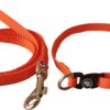 71XZheq1EKL._SL1500_.jpg The Pets Company Leash and Collar Set Suitable for Puppies of All Dog Breeds, X-Small, Orange