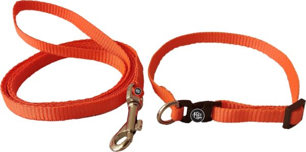 71XZheq1EKL._SL1500_.jpg The Pets Company Leash and Collar Set Suitable for Puppies of All Dog Breeds, X-Small, Orange