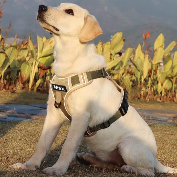 Dog Harness with Name id Customized for Dogs Large Medium Small Puppy All Breeds No Pull Harness Reflective Vest Harness Belt Adjustable Personalized with Dog Name (Beige) (Large Dogs)