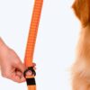 71Y7XtNvnFL._SL1500_.jpg Heads Up For Tails Shock Absorption Dog Leash - Orange