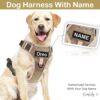 Dog Harness with Name id Customized for Dogs Large Medium Small Puppy All Breeds No Pull Harness Reflective Vest Harness Belt Adjustable Personalized with Dog Name (Beige) (Large Dogs)