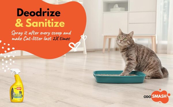 ROBUST Odosmash Pet Area Odour Remover with Refreshing Citrus Fragrance Removes Stains from Urine, Feces, & Vomit | Natural Bio-Enzymatic Formula | Cat Litter Spray | All Pets & All Surfaces | 250 ml