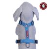 SNUNGPHIR Petslike Full Harness, Small, Dog (Sky Blue)