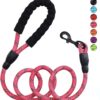 Petology Dog Leash 4FT Long, 1cm Thick Reflective Heavy Duty Rope with Anti-Slip Padded Handle for Small Dogs