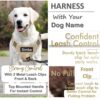 Dog Harness with Name id Customized for Dogs Large Medium Small Puppy All Breeds No Pull Harness Reflective Vest Harness Belt Adjustable Personalized with Dog Name (Beige) (Large Dogs)