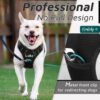 Dog Harness with Name id Customized for Dogs Large Medium Small Puppy All Breeds No Pull Harness Reflective Vest Harness Belt Adjustable with Personalized Dog Name (Black) (Large Dogs)