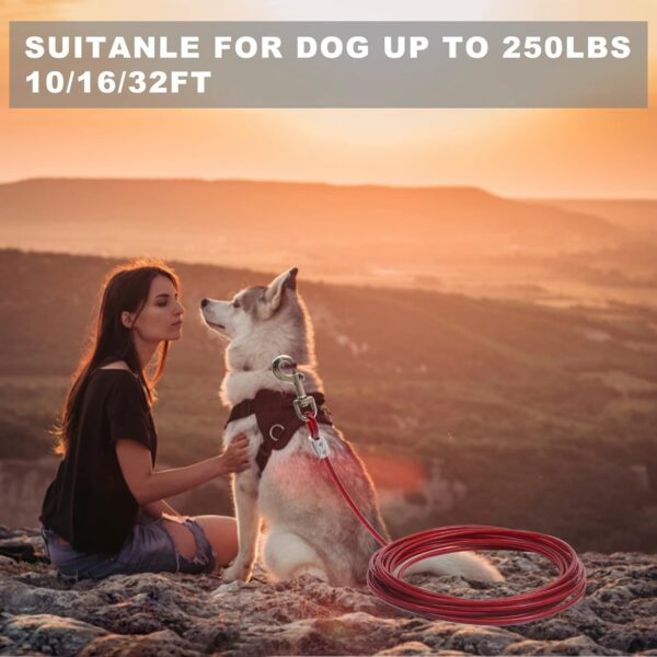 71ZUFJkfB4L._SL1500_.jpg 10-FEET (5MM) Heavy-Duty Tie Out Cable Leash for Dogs Up to 35kg, Long Dog Cable Leash with PVC Coating, Dogs Chains for Outside and Indoor Durable Dog Runner Tether Line for Yard (Red)