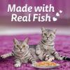 71Zq1N7mdEL._SL1100_.jpg Whiskas Tasty Mix Adult (1+ Year) Wet Cat Food, Tuna with Kanikama & Carrot in Gravy, 70g, Pack of 28| Made with Real Fish| Complete & Balanced Nutrition for Adult Cat