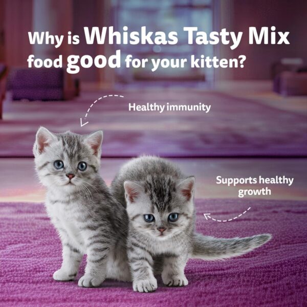 71al4zGIZL._SL1100_.jpg Whiskas Tasty Mix Kitten (2-12 Months) Wet Cat Food, Seafood Cocktail Carrot Flavour in Gravy, 70 g x 14, 100% Complete & Balanced Nutrition for Kittens