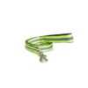 PetWale Dog Leash with Padded Handle | Suited for Walking, Running, Training & More | Reflective Green Nylon | Easy to Clean & Maintain | Durable & Sturdy | L: 5 feet, W: 1 inch